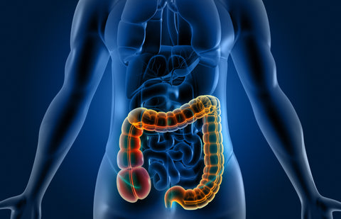 digestive enzymes for gut health