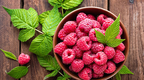 Beeren gehören zu den gesündesten Lebensmitteln der Welt