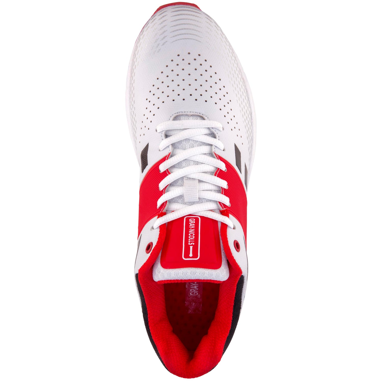 gray nicolls spikes