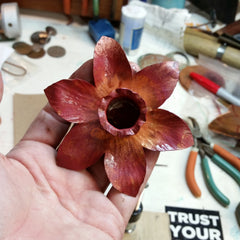 Copper Daffodil Flower