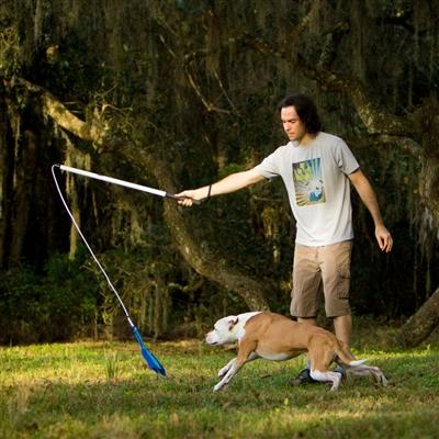 flirt pole for dogs