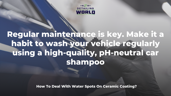 How To Deal With Water Spots On Ceramic Coating -  detailing world 