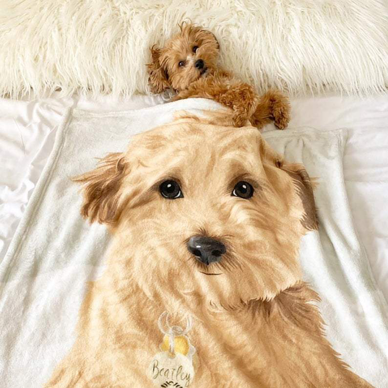 custom dog blanket canada