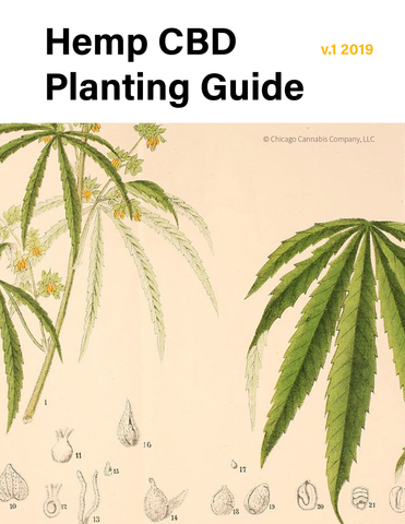 Hemp planting guide