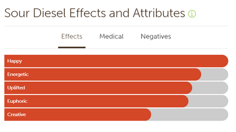 Sativa effects