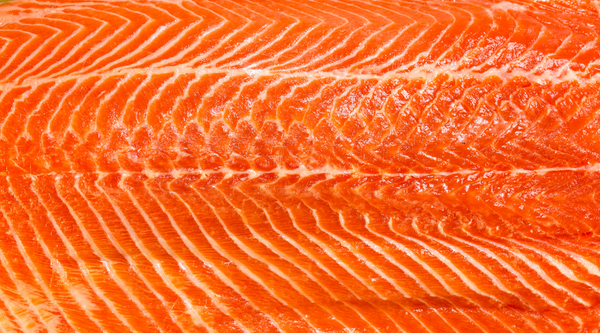 close up image of salmon fish