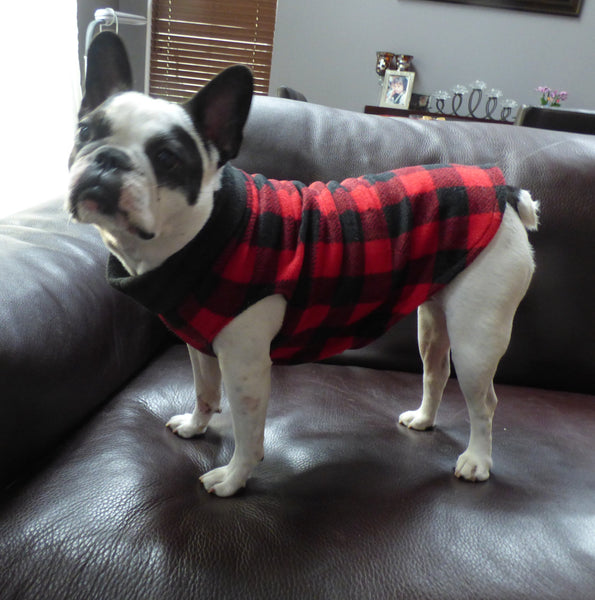 red plaid dog sweater