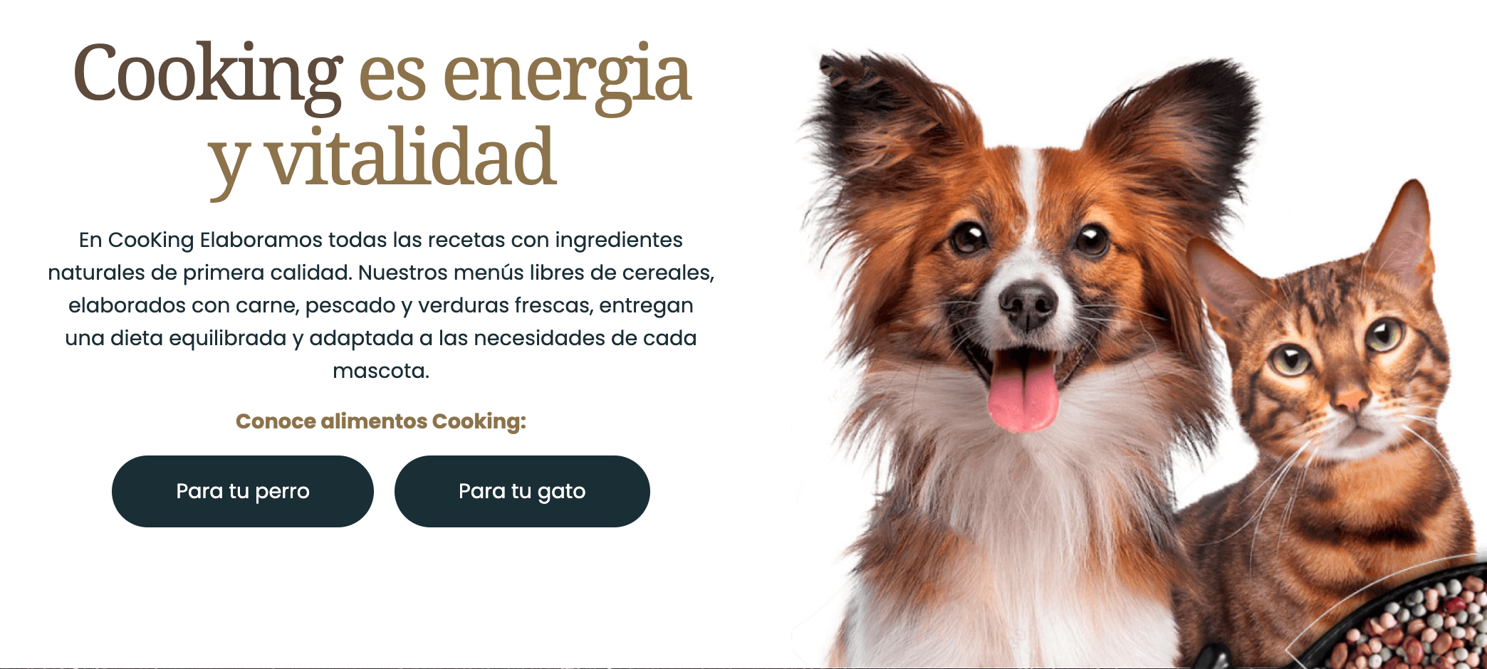 cooking alimento perros