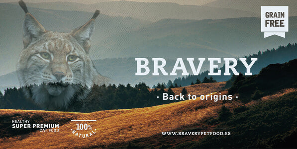 bravery gatos