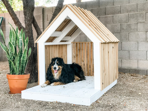 cama de perro de madera