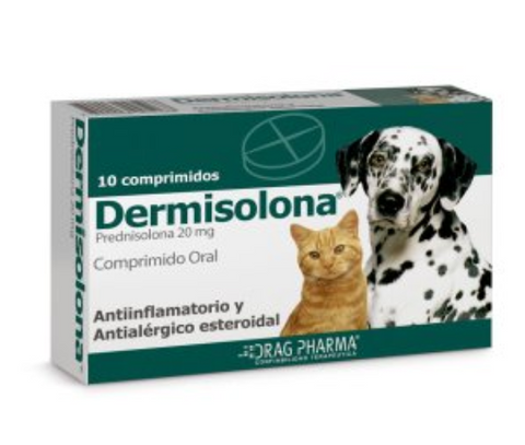 dermisolona-perro