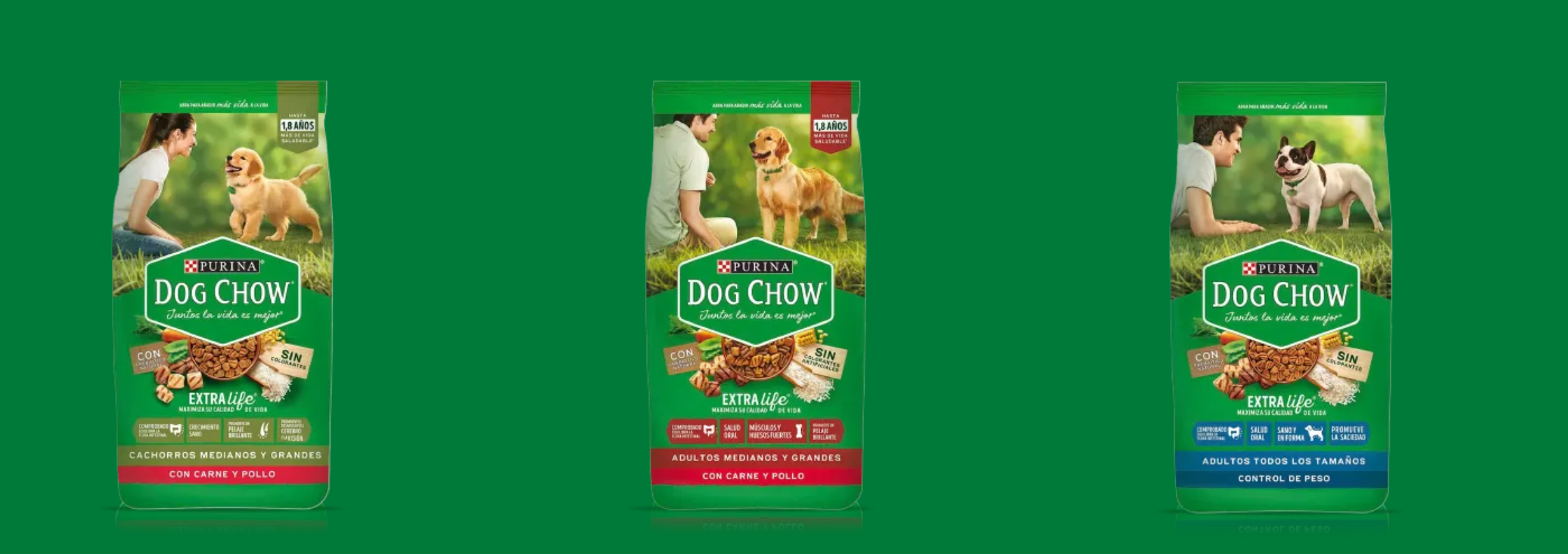 dog chow