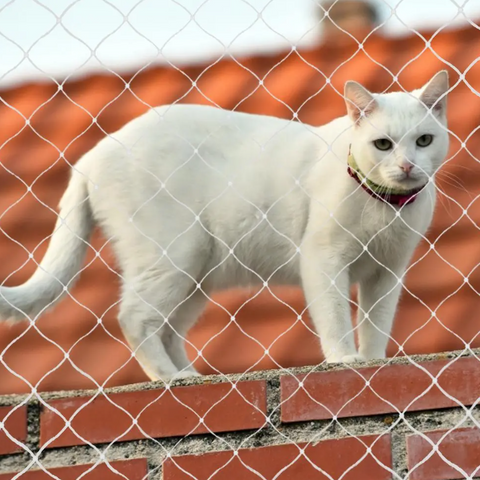 malla para ventanas gatos