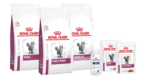 royal canin renal para gatos