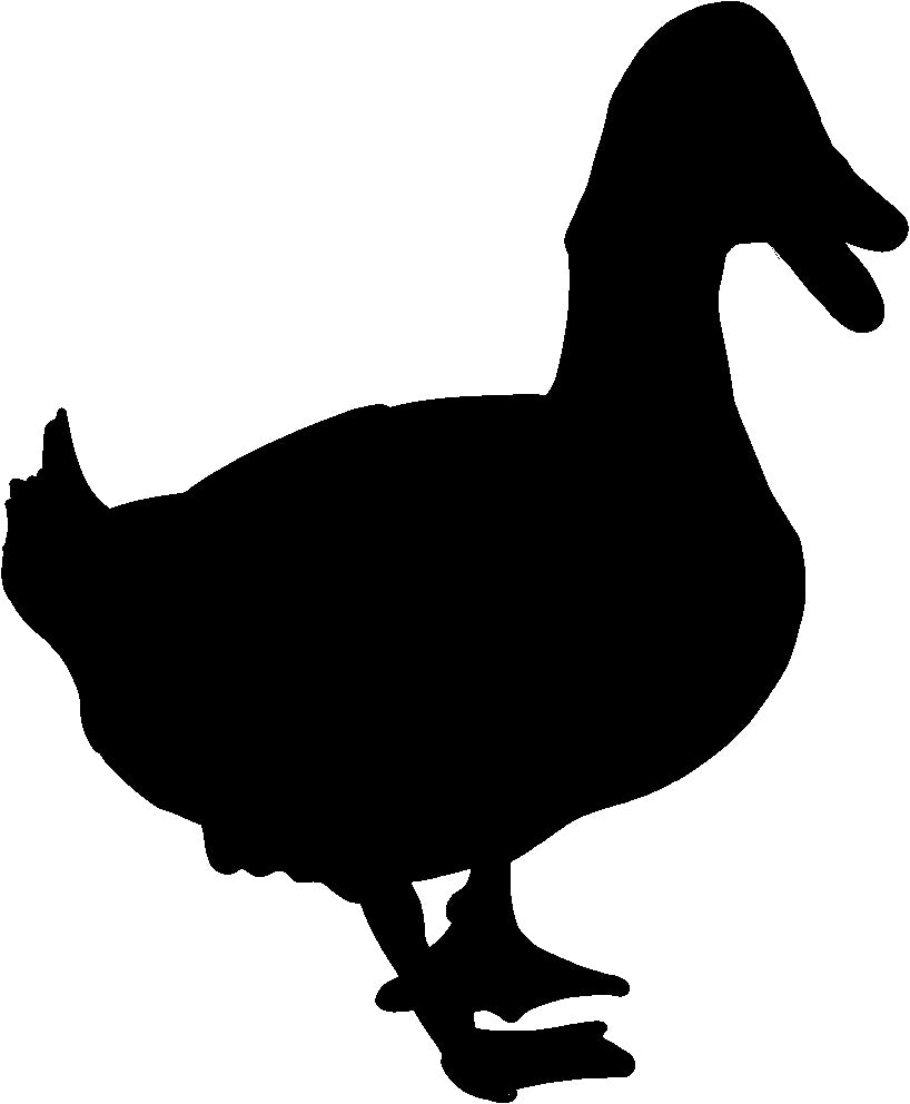 Duck Vinyl Decal