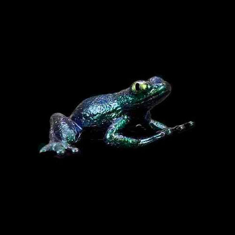 frog model in Scarab