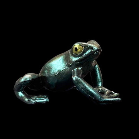 frog model in Dark Net