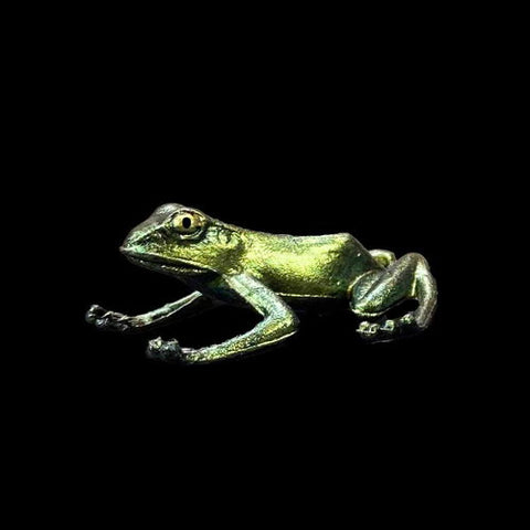 frog model in Radium