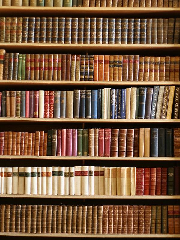Buy Discount Kate Retro Bookshelf Backdrop Bookcase Indoor