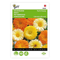 Marigold Calendula 'Pacific Beauty' - Mischung gelb-orange-weiβ 2,5 m² - Blumensamen - Pflanzeneigenschaften
