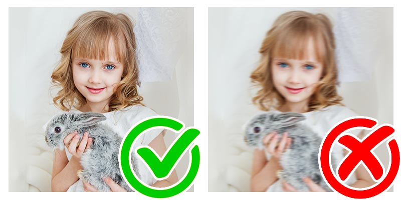 Dans Custom Portraits Girl Child Pet Image Requirements