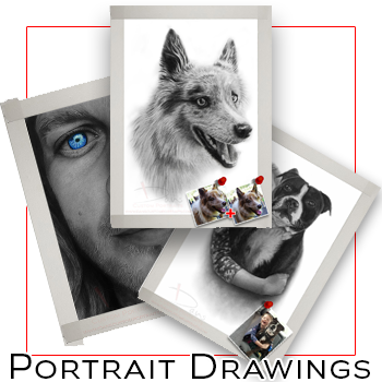 Custom detailed portrait drawings of people, pets and animals. Dog portrait drawing