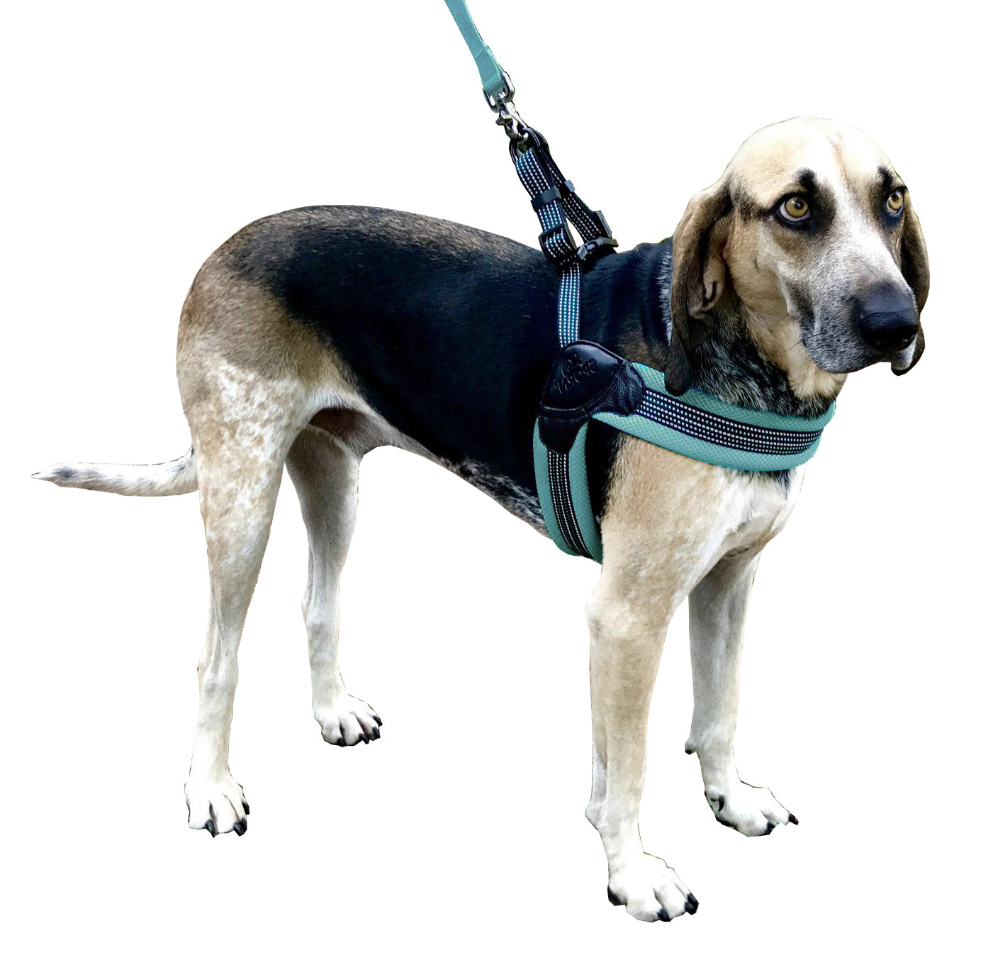 Sporn® Easy Fit Harness™ – SPORN