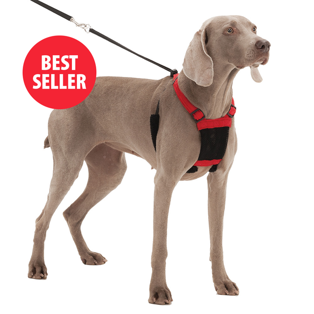 dog harness for pulling
