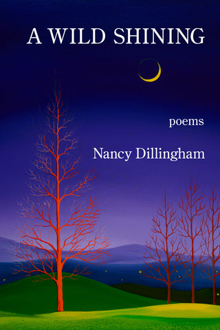 A Wild Shining - Nancy Dillingham