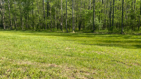 Have you maximized the potential of the food plots you hunt?