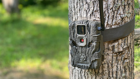Don't forget to your trail cameras and change batteries.