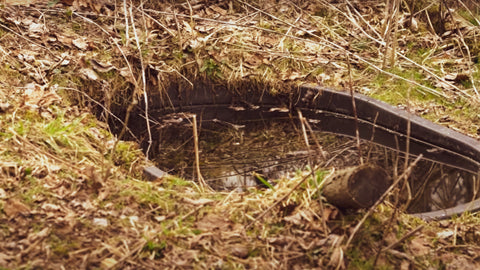 Want to draw more deer to your property? Just add water.