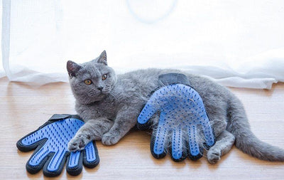 animal grooming glove