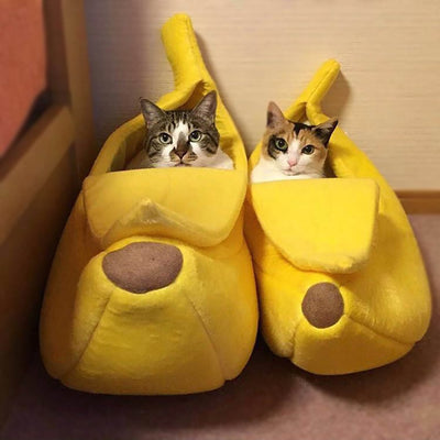 cat in a banana plush