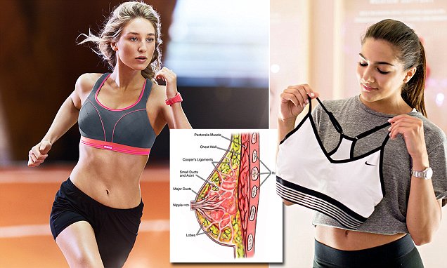 Can Not Wearing A Sports Bra Cause Cancer? – solowomen