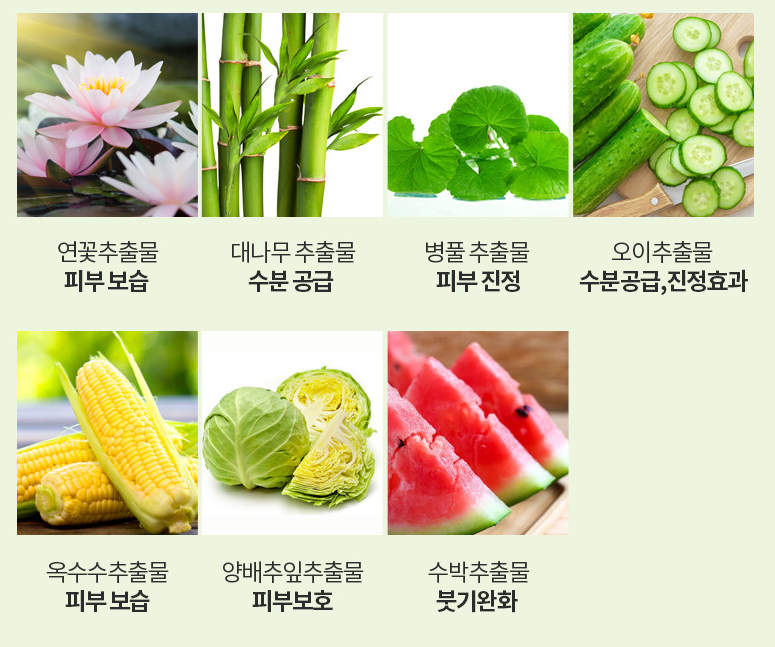 Los ingredientes de Aloe 99% de Holika Holika: flor de loto, centella asiática, bambú, pepino cocombro, maíz, col y sandía.