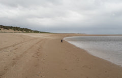 burnham overy staithe dog friendly beach north norfolk