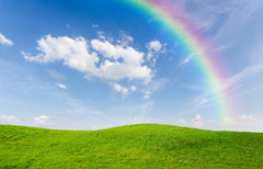 Rainbow over field representing when your dog or pet gets their angel wings