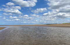 thornham dog friendly beach north norfolk