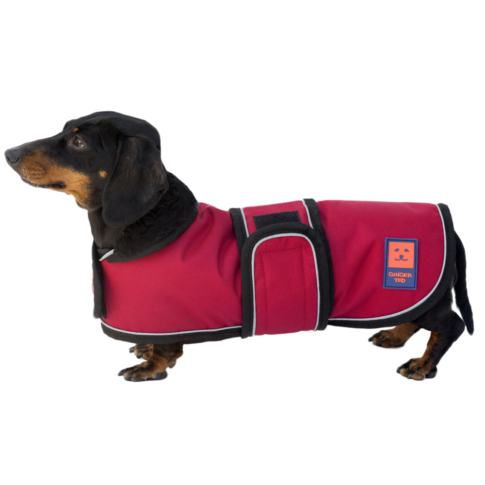 Shower Lightweight Waterproof Dachshund Coat | Ginger Ted - Ginger Ted Ltd