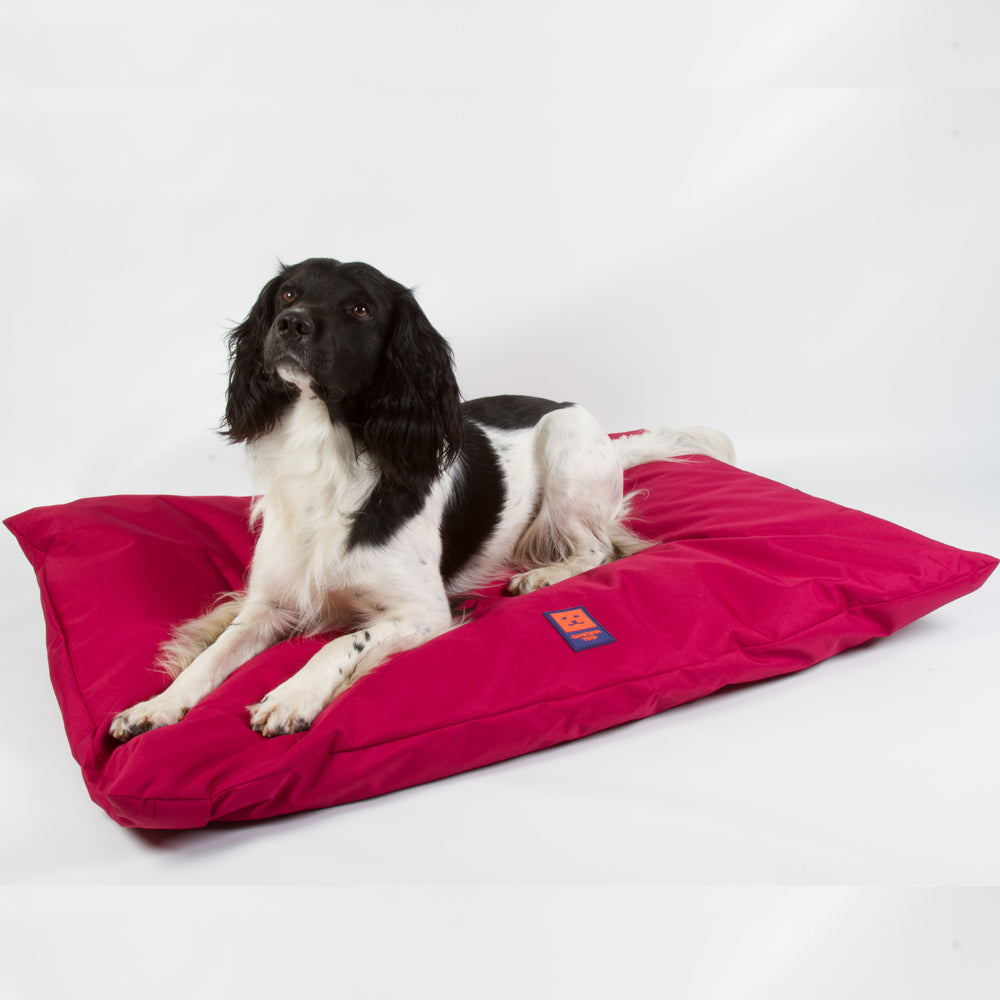 waterproof dog beds