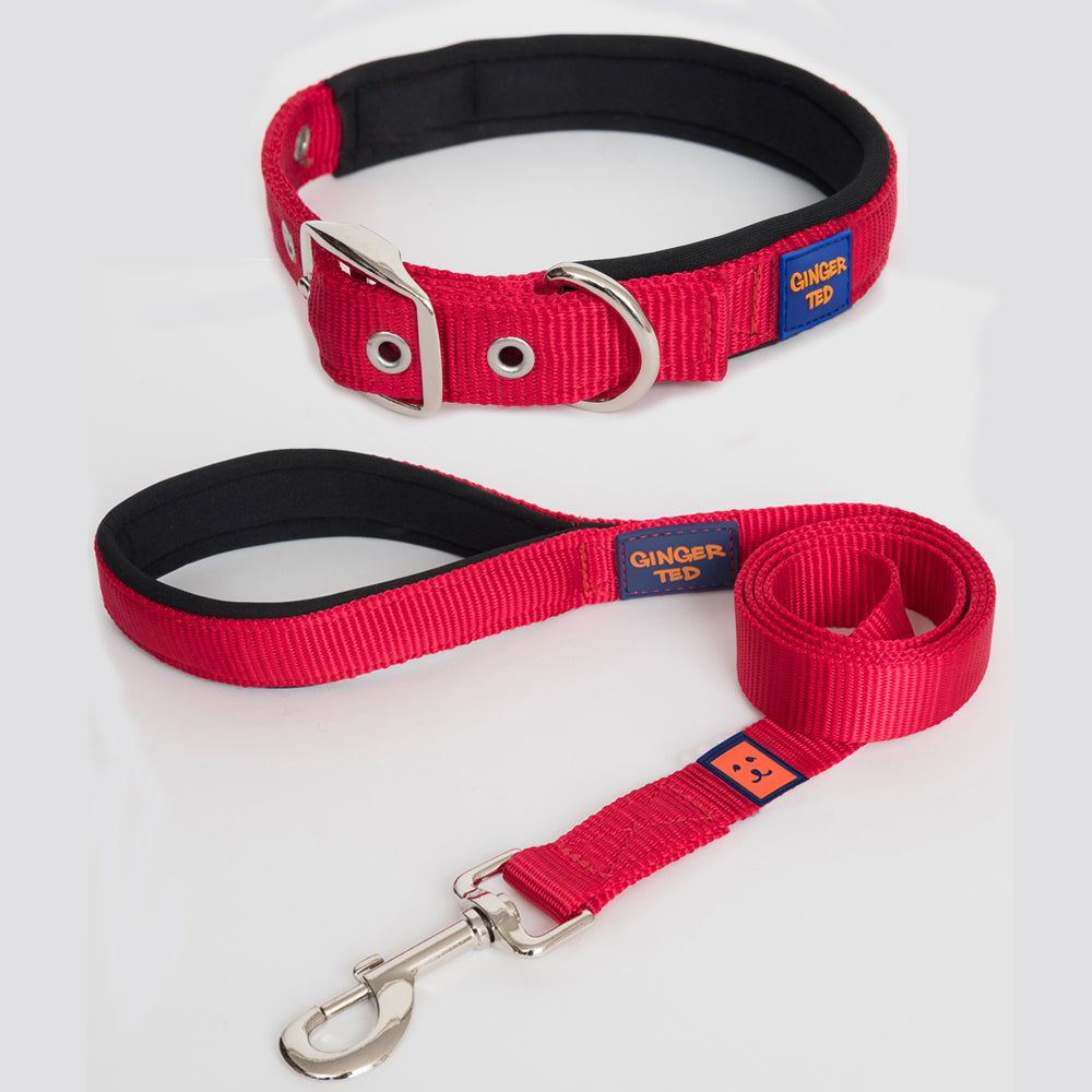 Nylon Dog Collars \u0026 Leads | Strong 