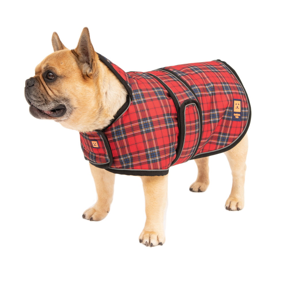 Shower Waterproof Bulldog Frenchie Bullterrier Coat | Ginger Ted - Ginger  Ted Ltd