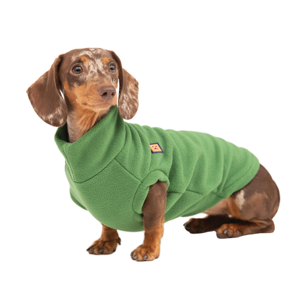 dachshund jumper