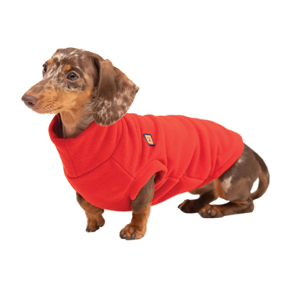 Dog Jumper | Warm Cosy Fleece Dachshund Clothing | Ginger Ted - Ginger ...