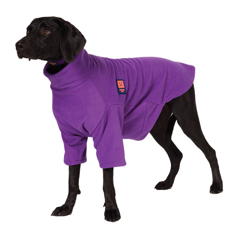 dog fleece jumper