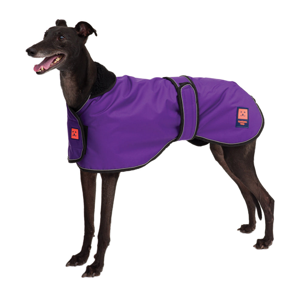 Waterproof Shower Greyhound Dog Coat with Warm Lining - Ginger Ted product image