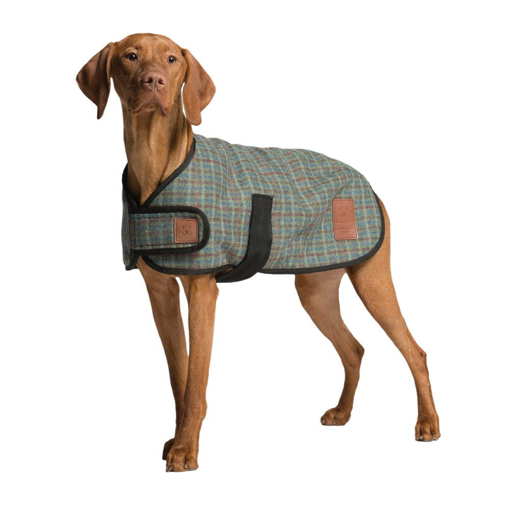Tweed Dog Coat | Warm Dog Clothing | Ginger Ted - Ginger Ted Ltd