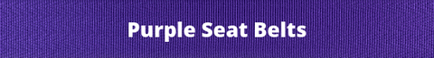 Purple Seat Belt Webbing Colors