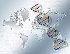 dna ancestry and heritage dictate effects of western diet